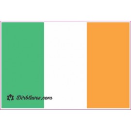 Nacionalinis vėliavos lipdukas - Airija